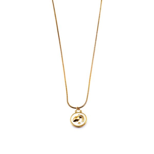 Enamel Zodiac Aquarius Double Sided Pendant Steel Necklace